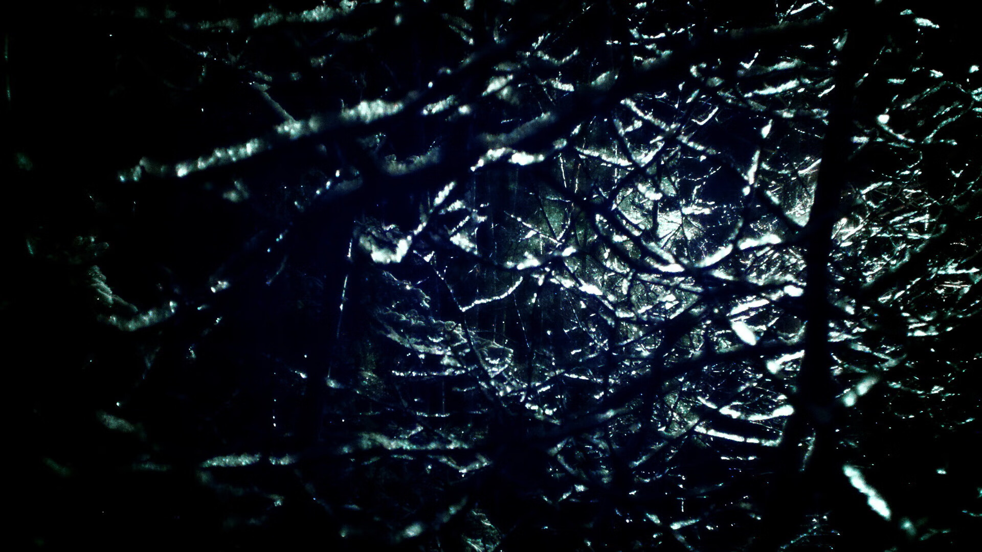 西亚卡姆爆发轰38分,深圳主场掀翻爵士取跨联盟巅峰胜