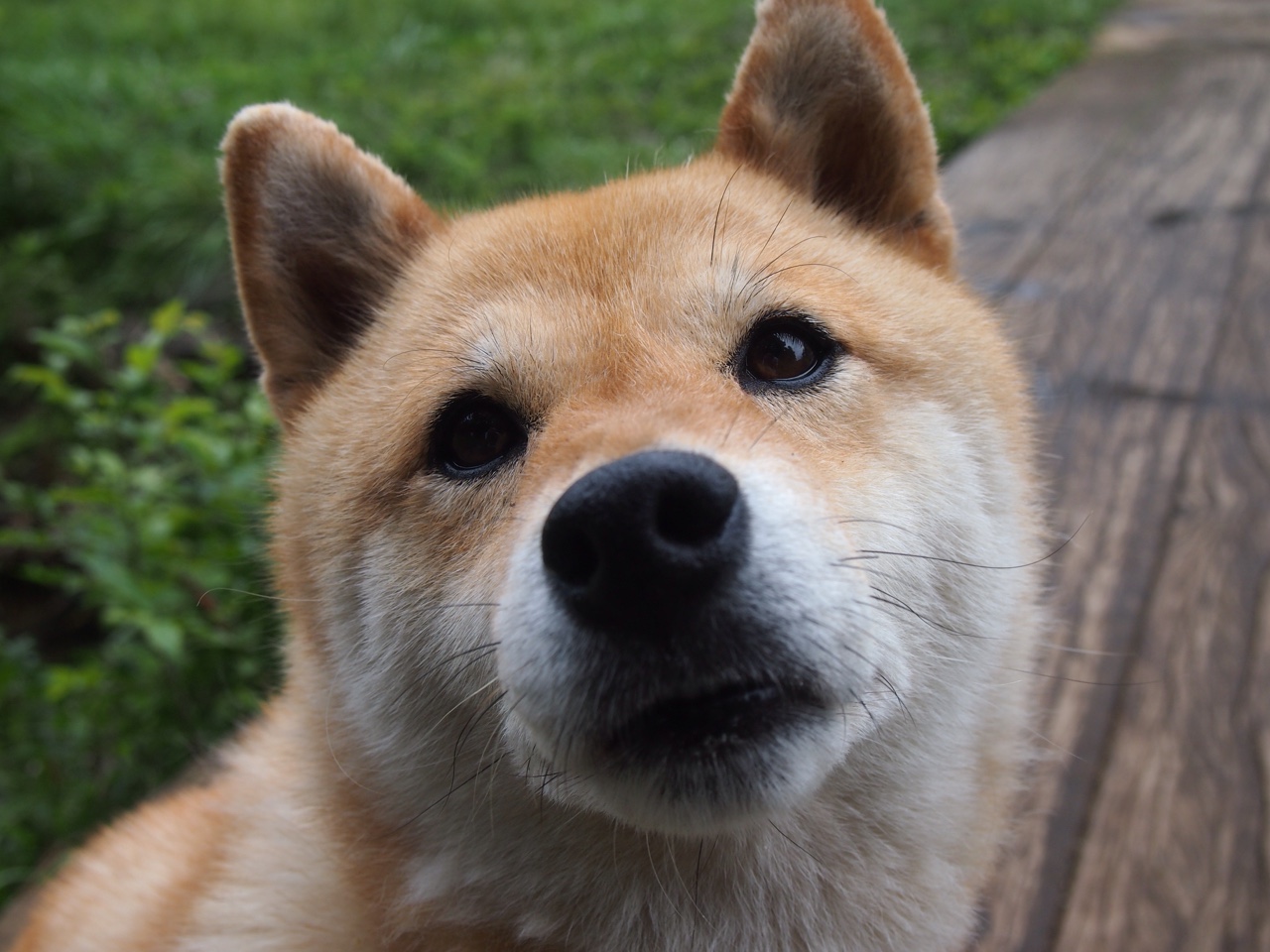 文班亚马,2024,在未来回望这个定义生涯的夜晚