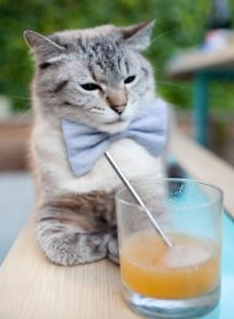 绿军长矛刺穿鹈鹕,老炮的背影与西决回响