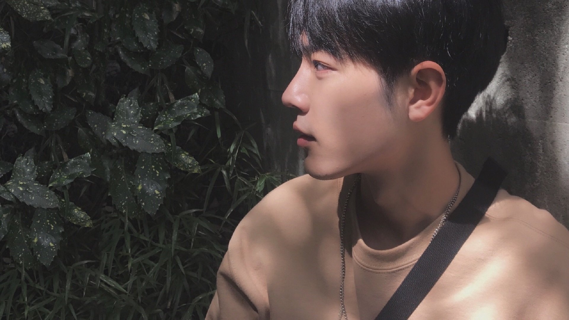 开云体育平台APP-陨落与崛起，卡拉斯科的魔法时刻击碎喀麦隆铁壁