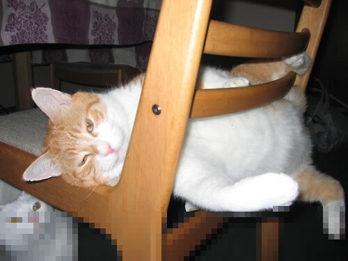 双重接管，从绿茵场到银石赛道，掌控力的艺术