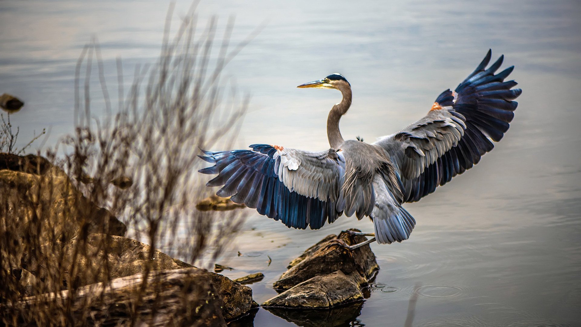 开云体育平台APP-虚构友谊赛杜兰特三分绝杀！辽宁队征服NBA主场，易建联老朋友带走了胜利