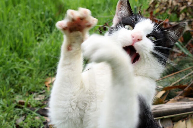 开云体育-火箭强势狙击马刺，关键先生小贾伦完成蜕变