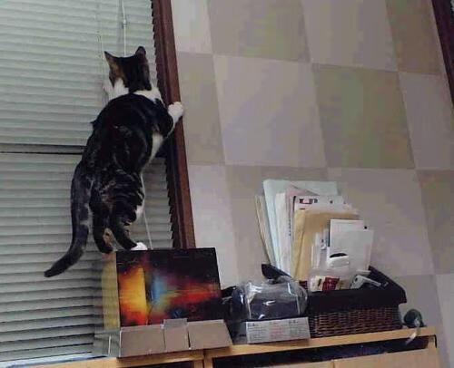 开云sport-（备选方案）