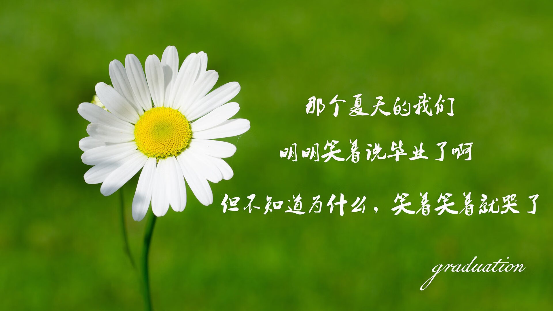 血色月光下的南美与东南亚,范戴克在C组混沌中点亮一盏灯塔