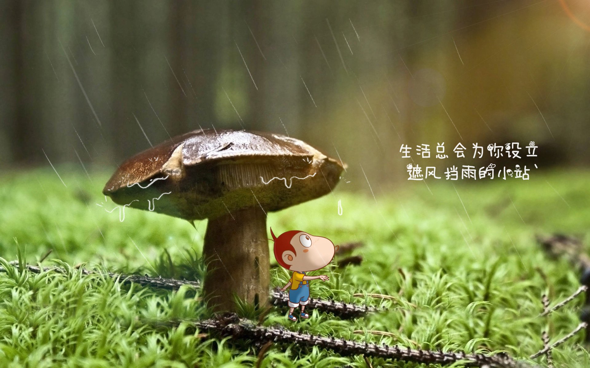 黑马踏碎波斯铁骑,高卢王者一剑封喉,2026世界杯A组哥斯达黎加如何书写唯一剧本