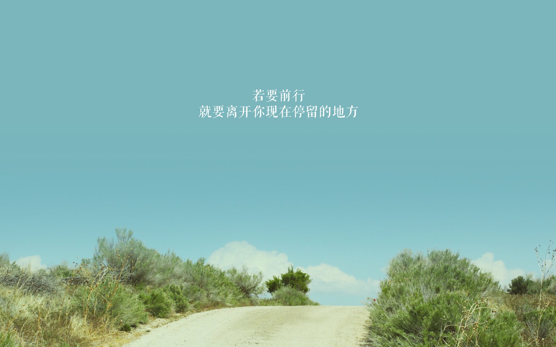 底格里斯河的怒火与太极虎的咆哮,2026年E组,两种足球强权的唯一救赎